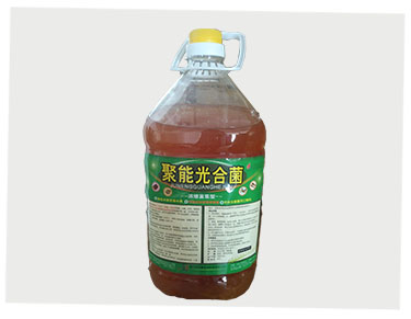 聚能光合菌